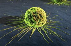нанотехнологии помогут победить рак