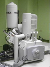 растровый электронный микроскоп fei quanta 600 feg