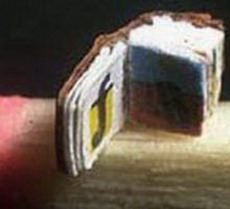 нанотехнологи изготовили самую маленькую в мире книгу